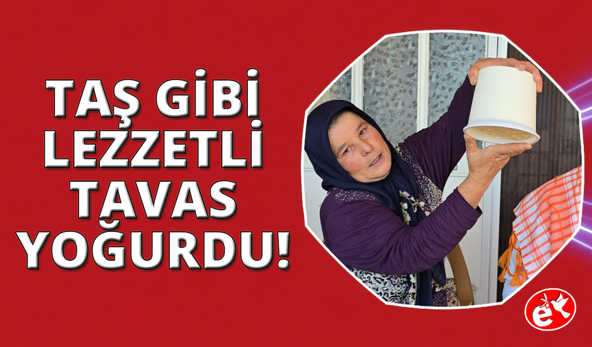Odun ateşinden sofraya: Taş gibi kıvamıyla Tavas yoğurdu