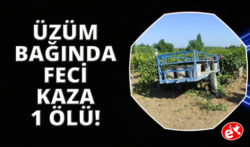 Manisa'da traktörün altında kalan kadın hayatını kaybetti