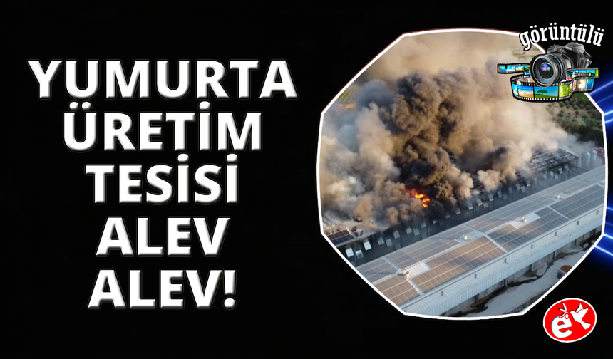Manisa'da alevler yumurta üretim tesisini küle çevirdi