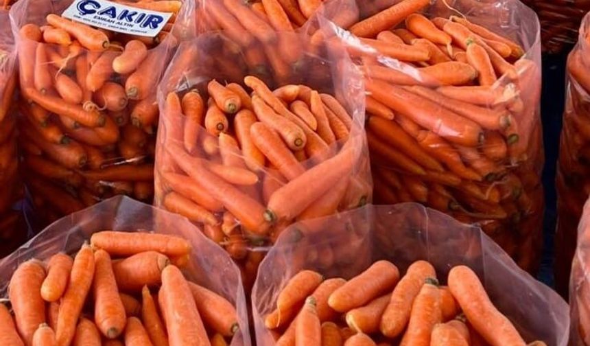 Acıpayam Çakır Havucu coğrafi işaretle tescillendi