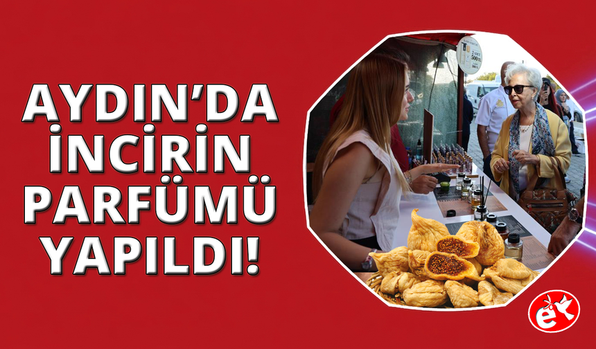 Aydın'ın ünlü inciri bu kez lezzetiyle değil kokusuyla öne çıktı