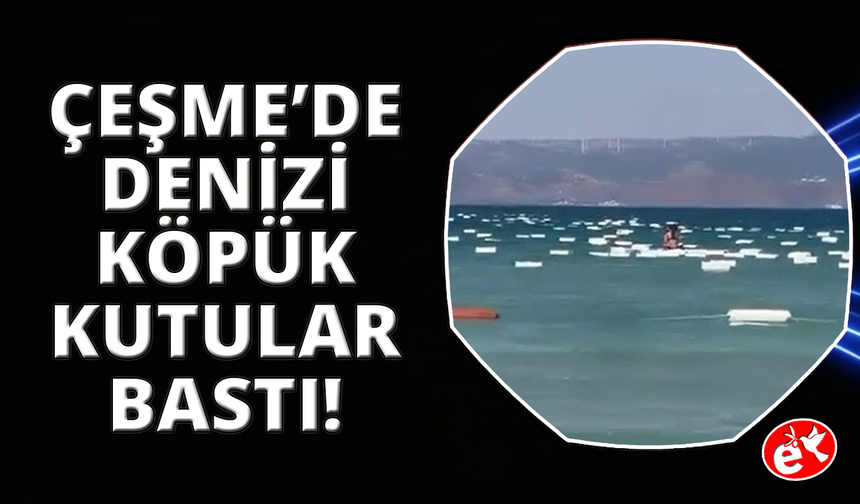 Çeşme’de denizi köpük kutular bastı