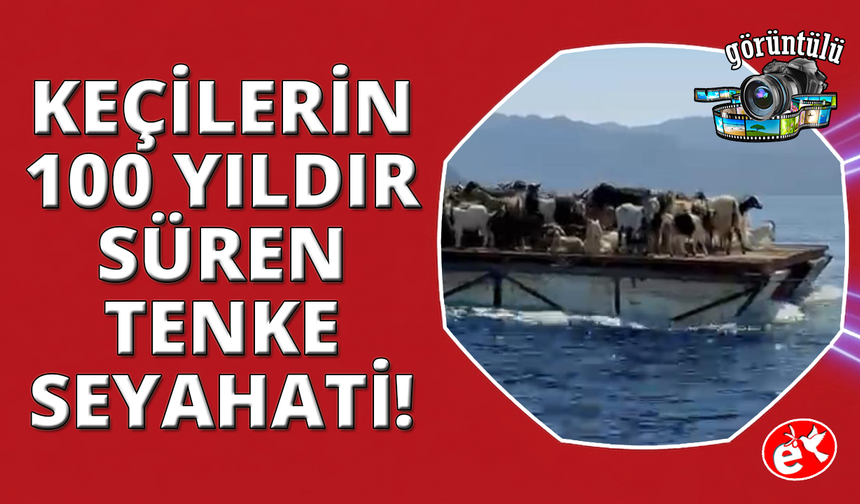 Keçilerin 'Mavi yolculuğu' 100 yıldır sürüyor