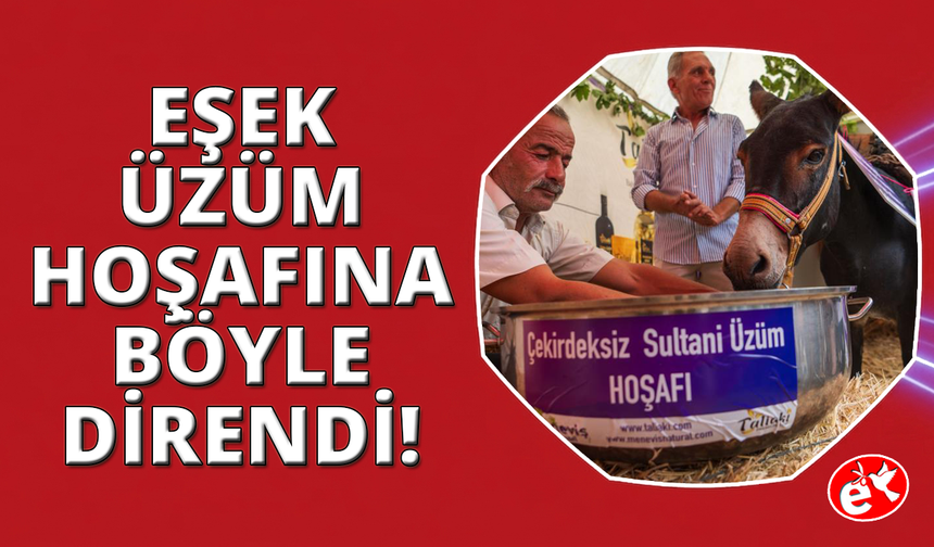Üzüm tüketimine dikkat çekmek için ‘hoşaflı' ve ‘eşekli' ironi