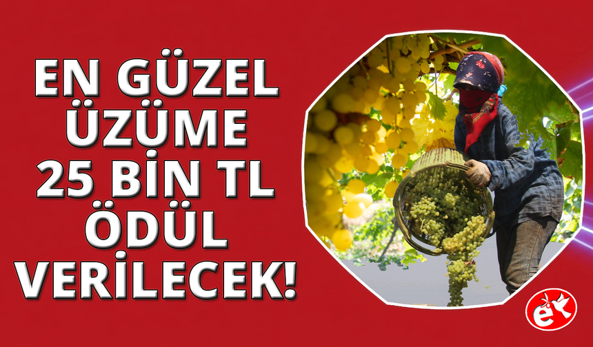 Manisa'da üzümün güzel ve lezzetli diyen bu yarışmaya katılsın