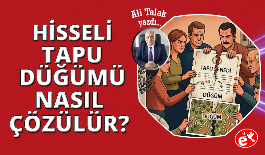 Hisseli Tapu Düğümü: Miras mı, Husumet mi?