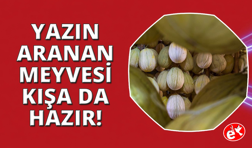 Tadıyla tescilli Kırkağaç kavunu 2027 sofraları için hazır