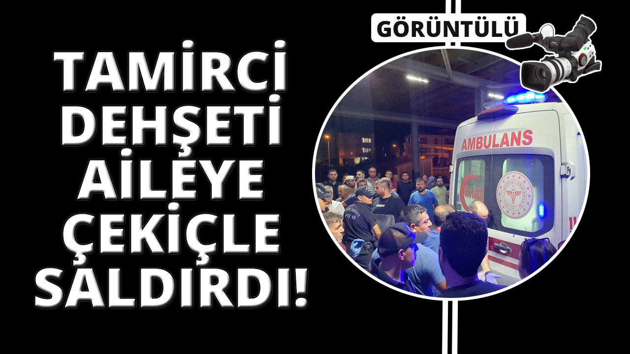 Tami̇rci̇ Dehseti̇