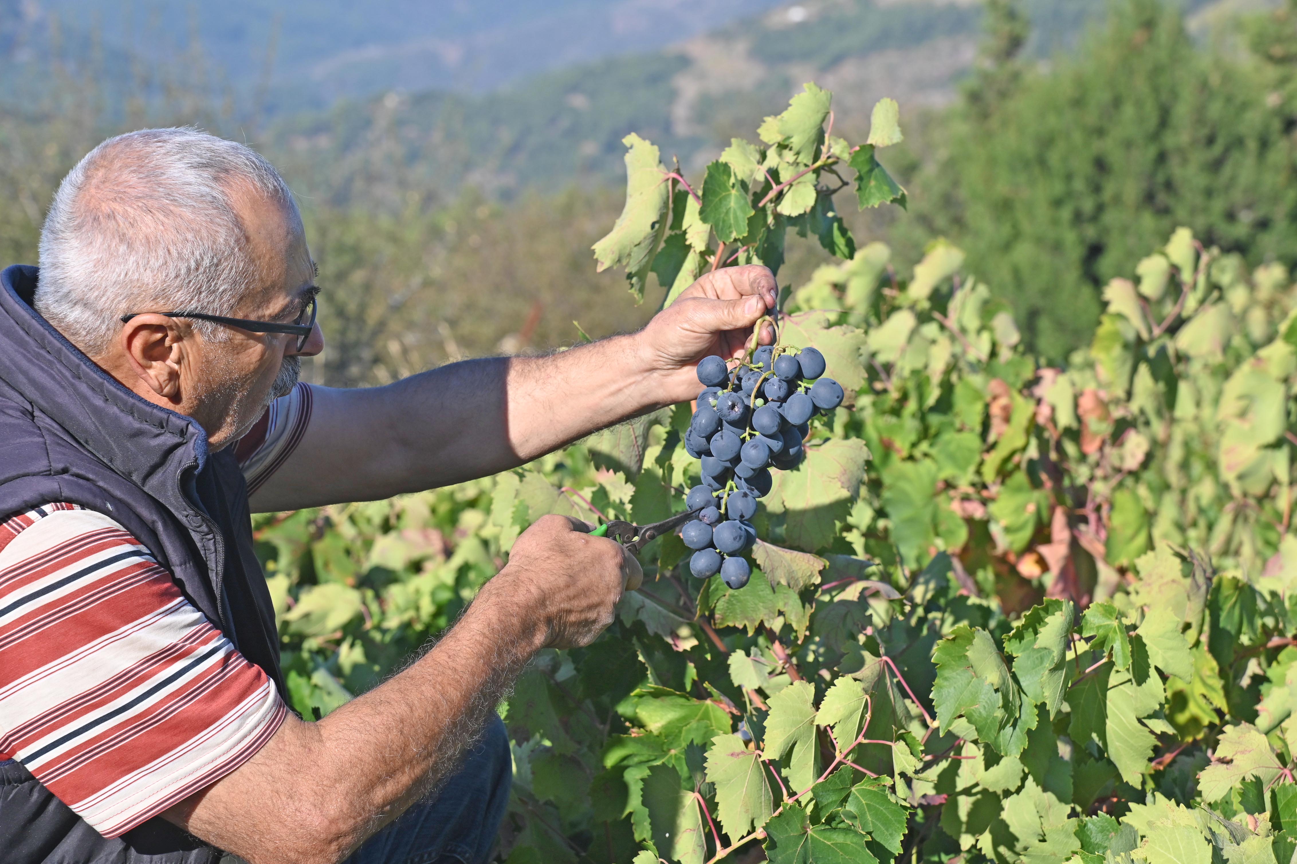 Kavacık Festivali 14 15 Eylül (12)