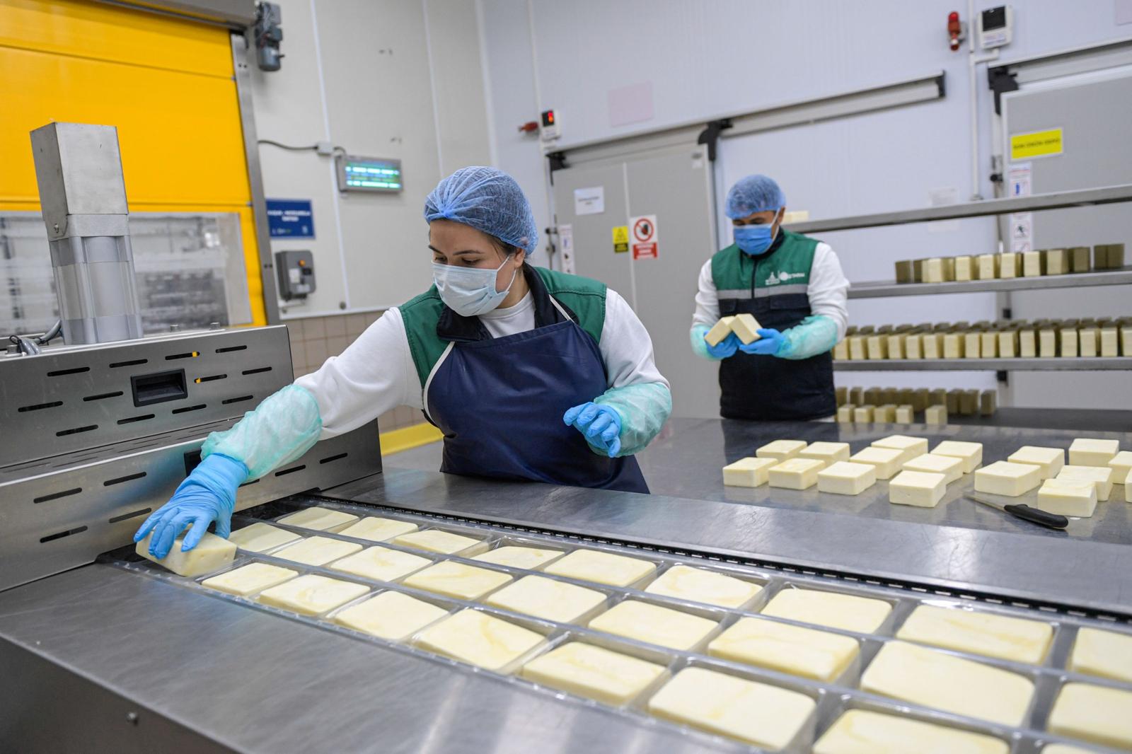 15.02.2026 Dc222Edb 3Ad2 4803 A4Db 49F654Cce487