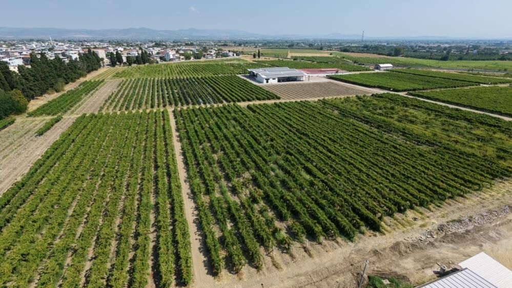 A W753425 04-1