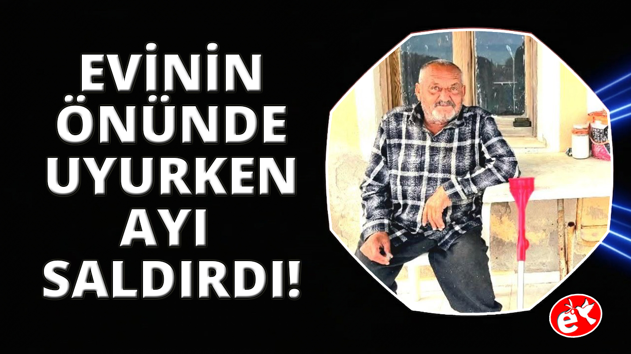 İzmir’de ayı saldırısına uğrayan yaşlı adam hayatını kaybetti
