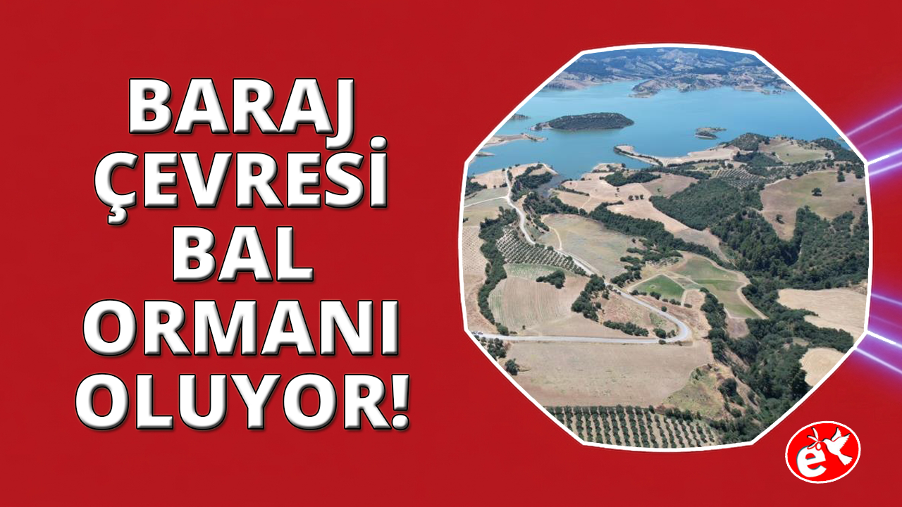 Manisa'da baraj çevresi bal ormanına dönüşüyor