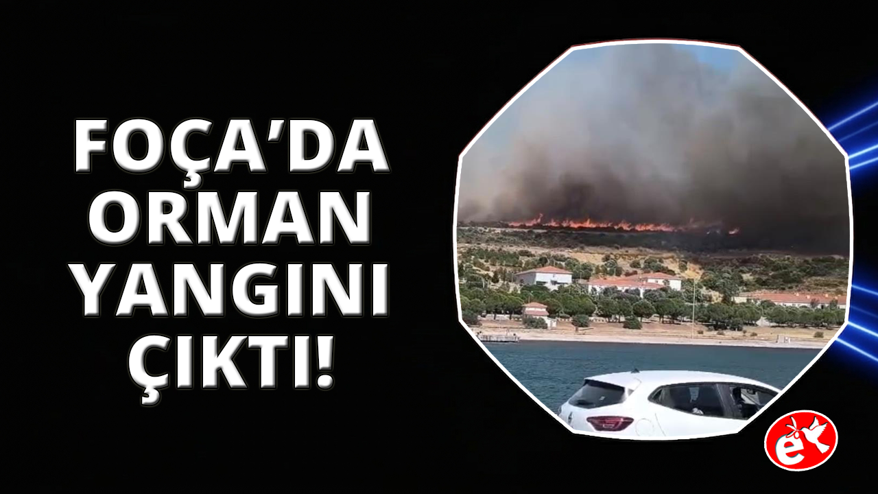 Foça’daki orman yangınına havadan ve karadan müdahale