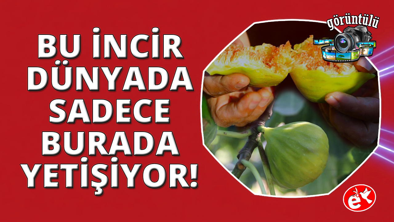 Turgutlu'nun Yediveren iicirinde fiyatlar yeniden tavan yaptı!
