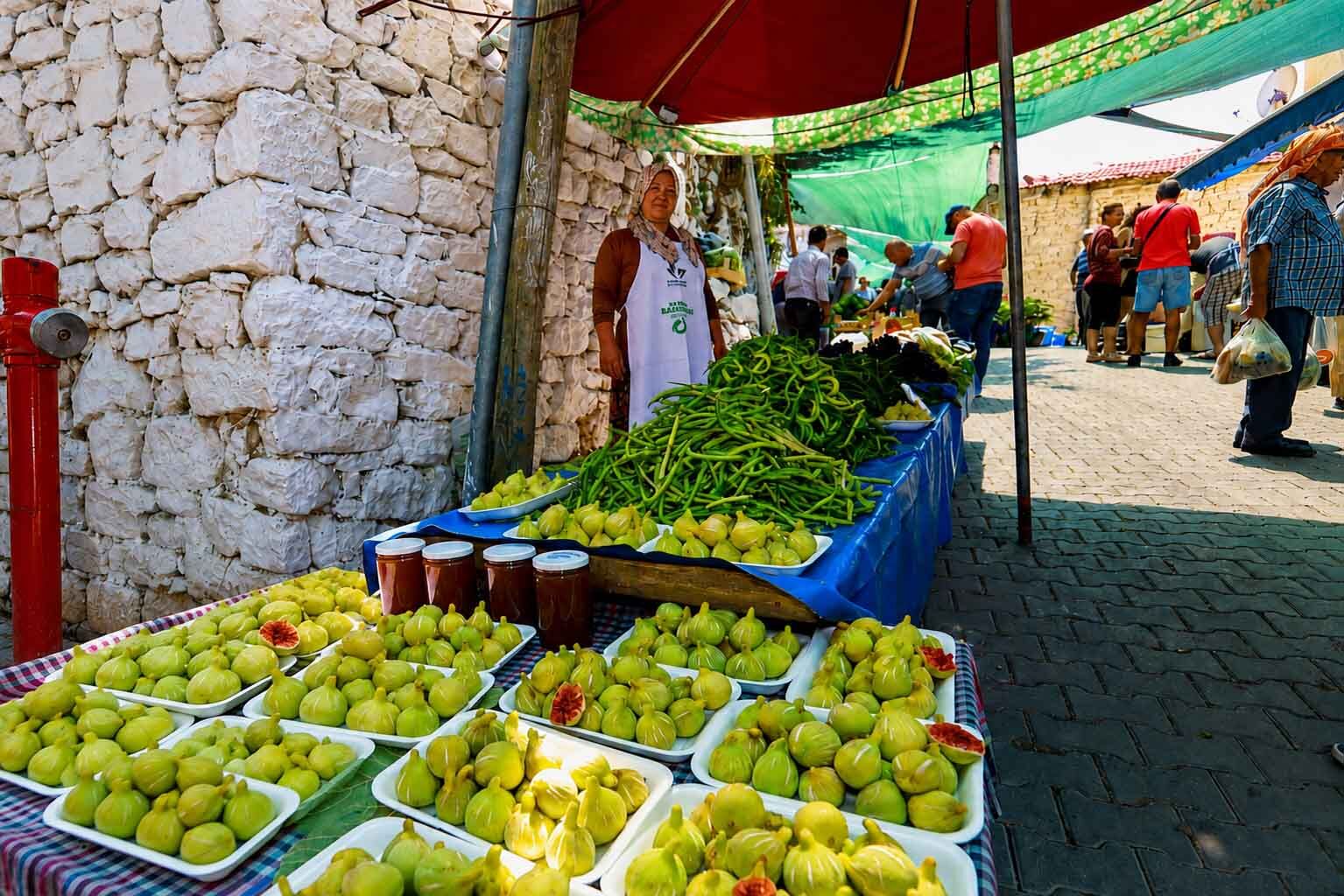Bardacık (1) 1