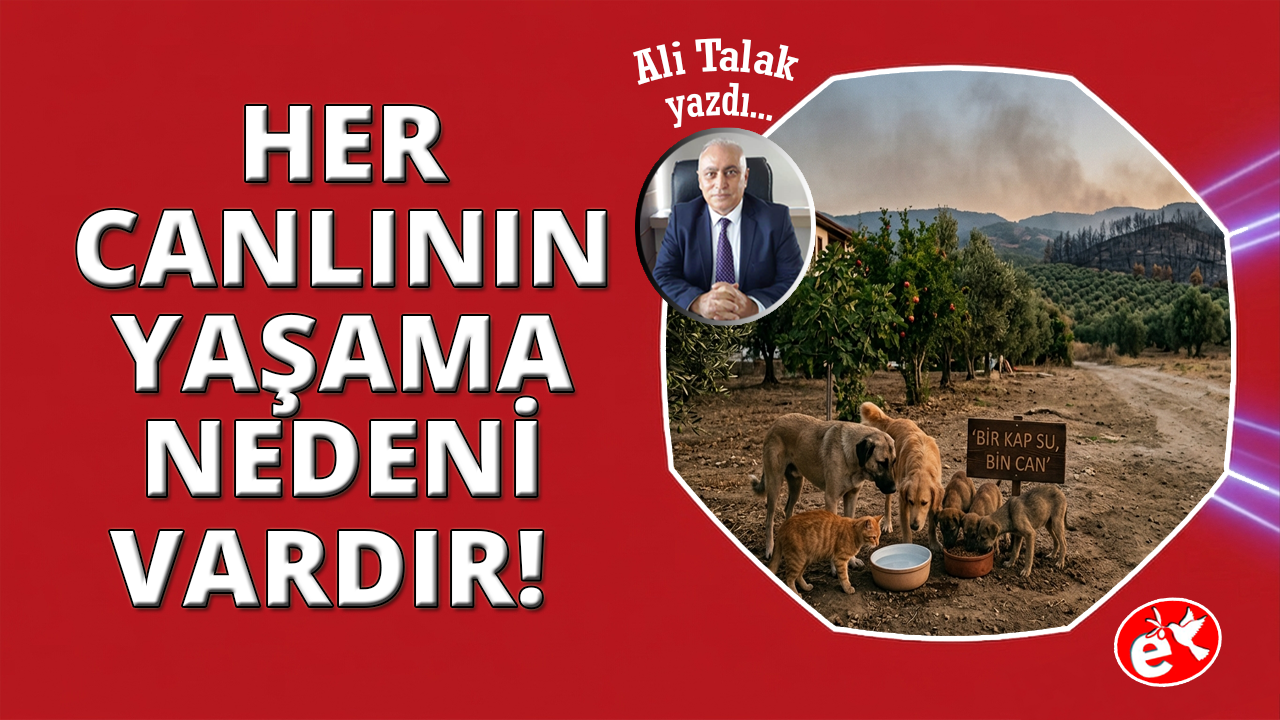 Doğanın Dengesi ve Can Dostlarımız