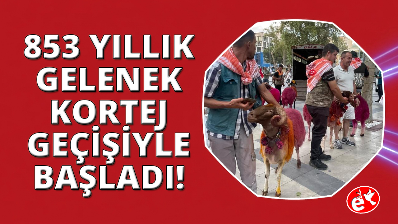 853 yıllık gelenekte koyunlar sudan önce bulvardan geçti