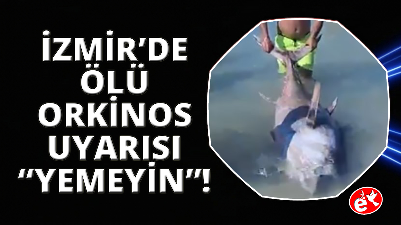 Uzmanlardan ölü orkinos uyarısı: "Sakın yemeyin"