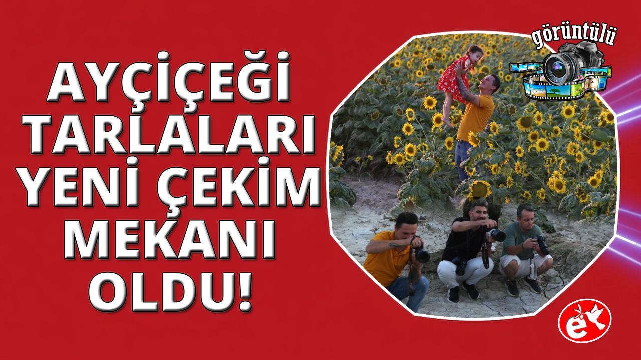 Manisa'da tarlada "açık hava fotoğraf stüdyosu"