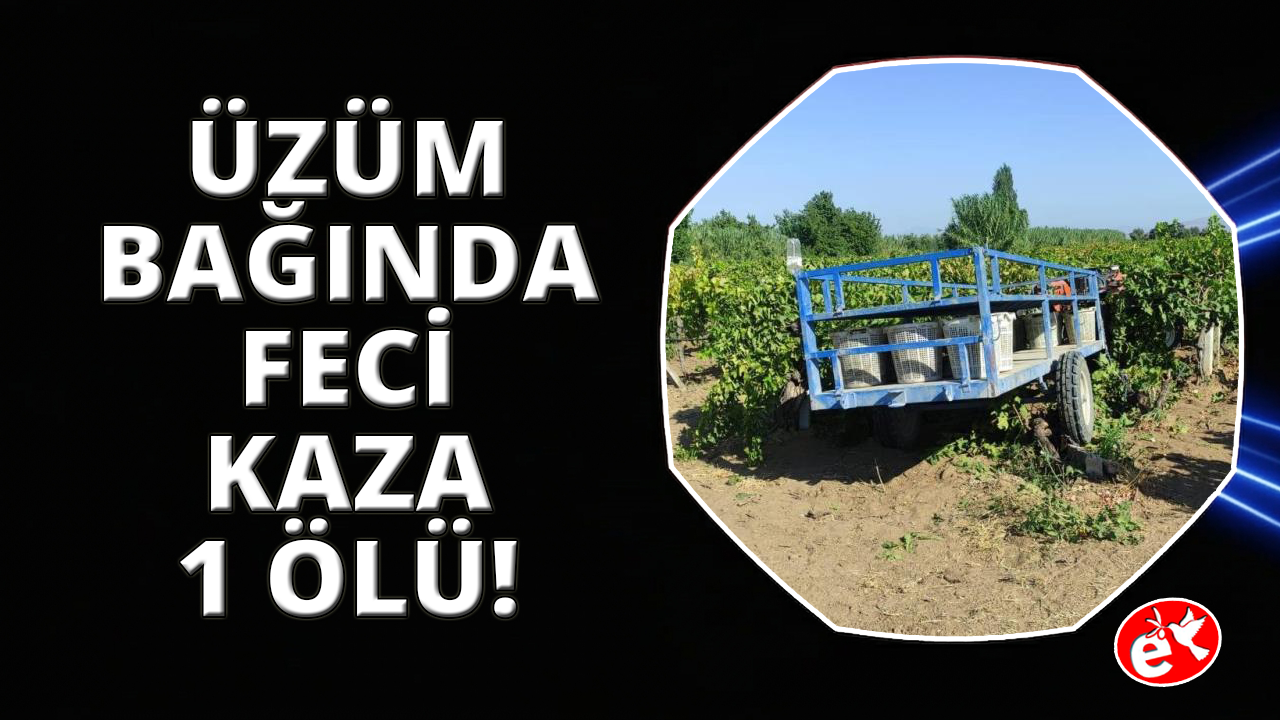 Manisa'da traktörün altında kalan kadın hayatını kaybetti