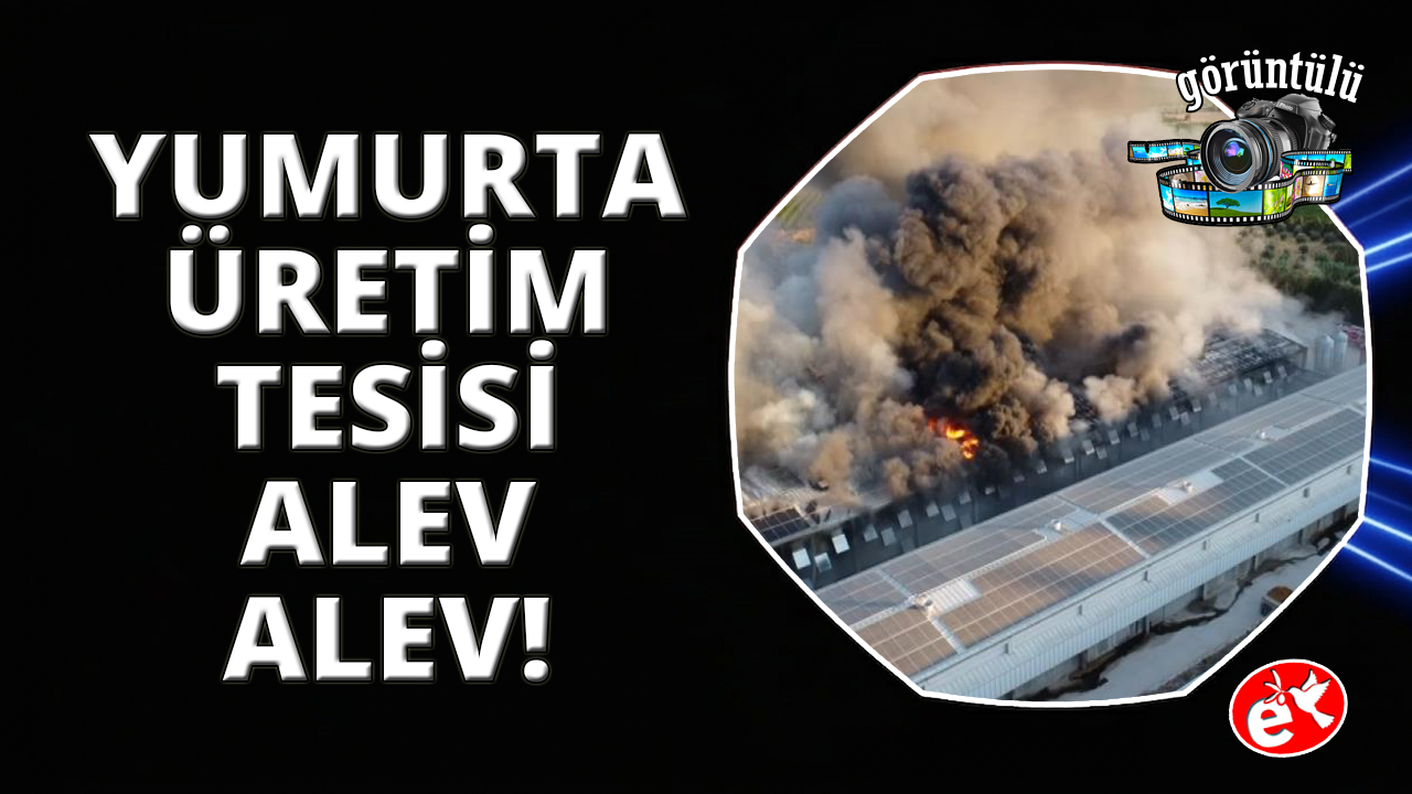 Manisa'da alevler yumurta üretim tesisini küle çevirdi