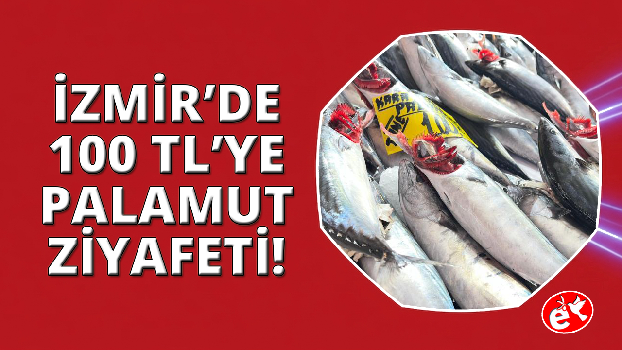 İzmir'de 100 liraya palamut ziyafeti