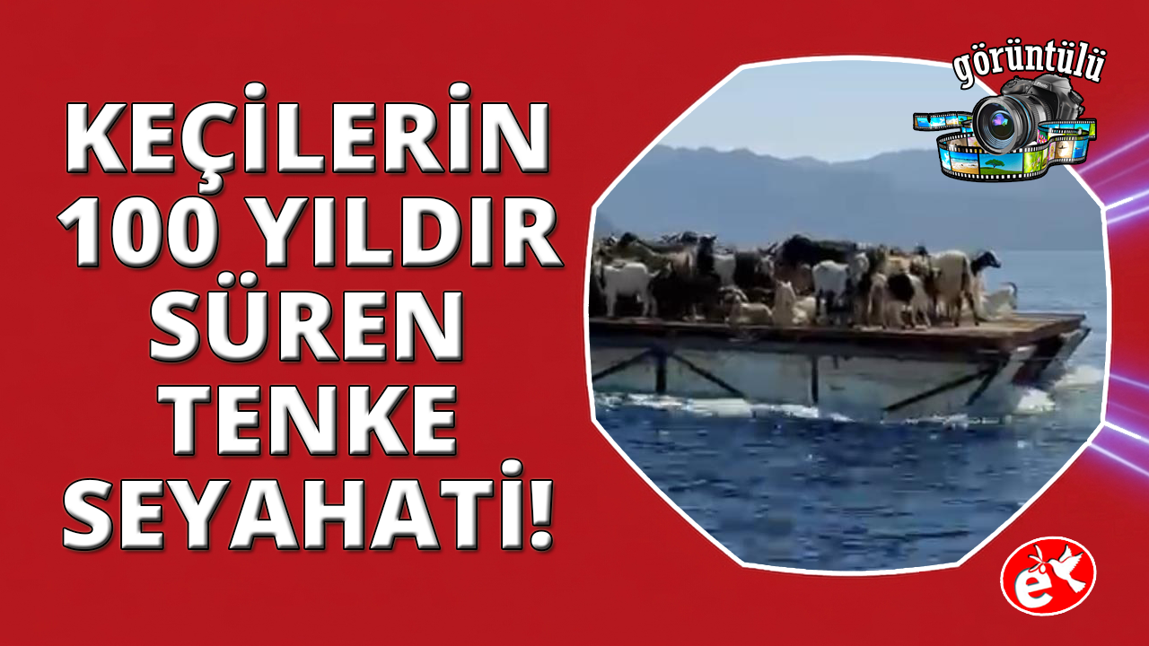 Keçilerin 'Mavi yolculuğu' 100 yıldır sürüyor