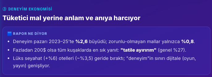 Tüketicianlam