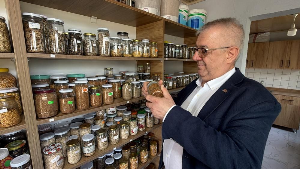 Edremit'te ata tohumları gelecek nesillere taşınıyor